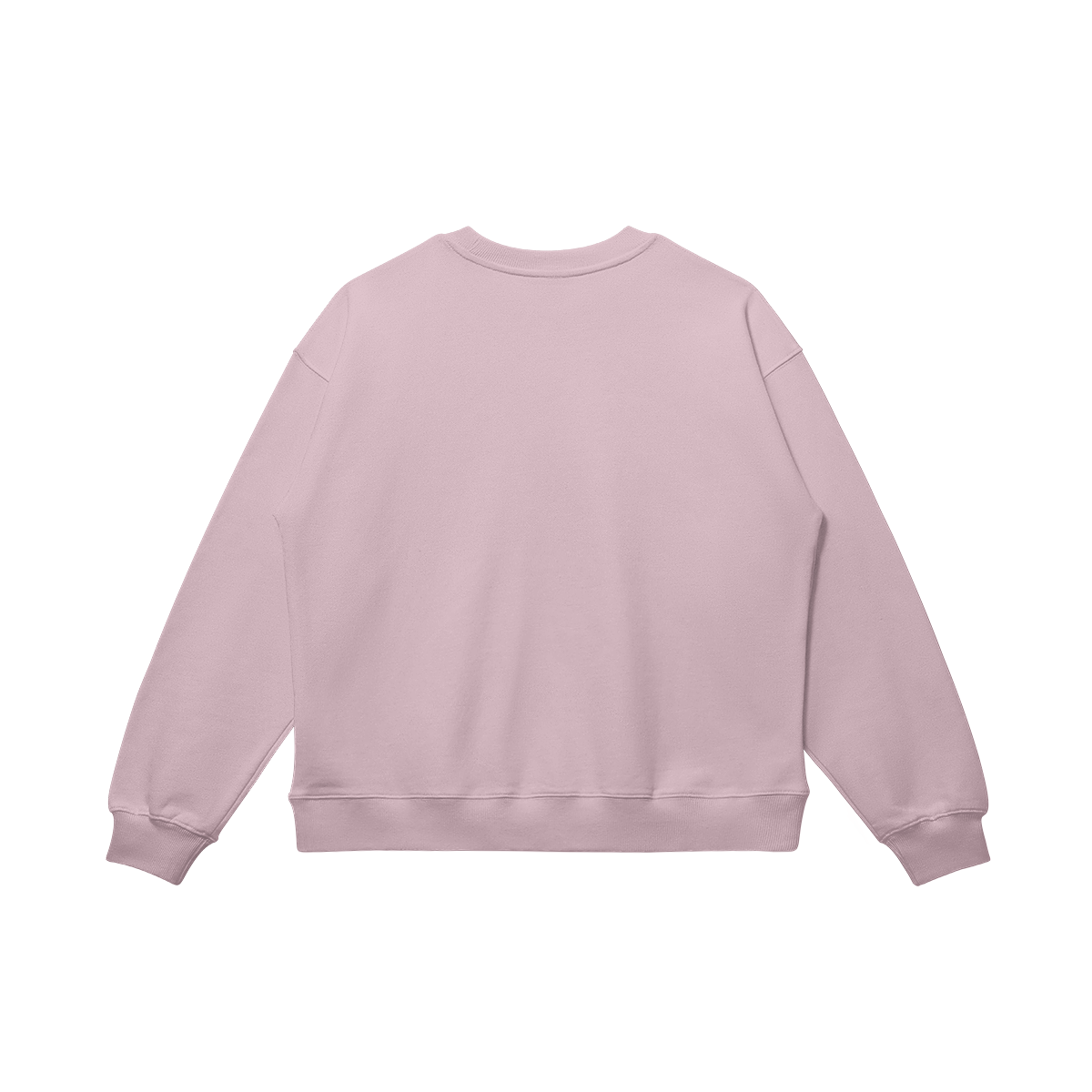 BLANK SWEATSHIRT